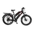 color customized ebike 11.6Ah dual lithium battery aluminum alloy frame fat bike